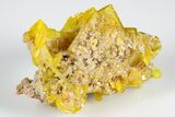 Orange Wulfenite and Botryoidal Mimetite - La Morita Mine, Mexico #183934-1